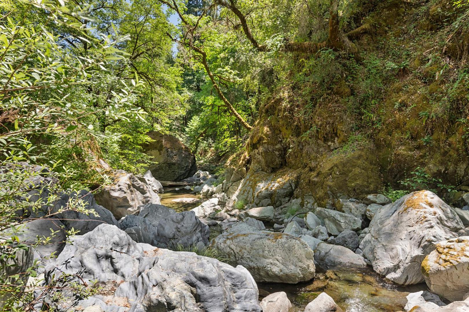 Buck Hollow Villa Cazadero Exterior photo