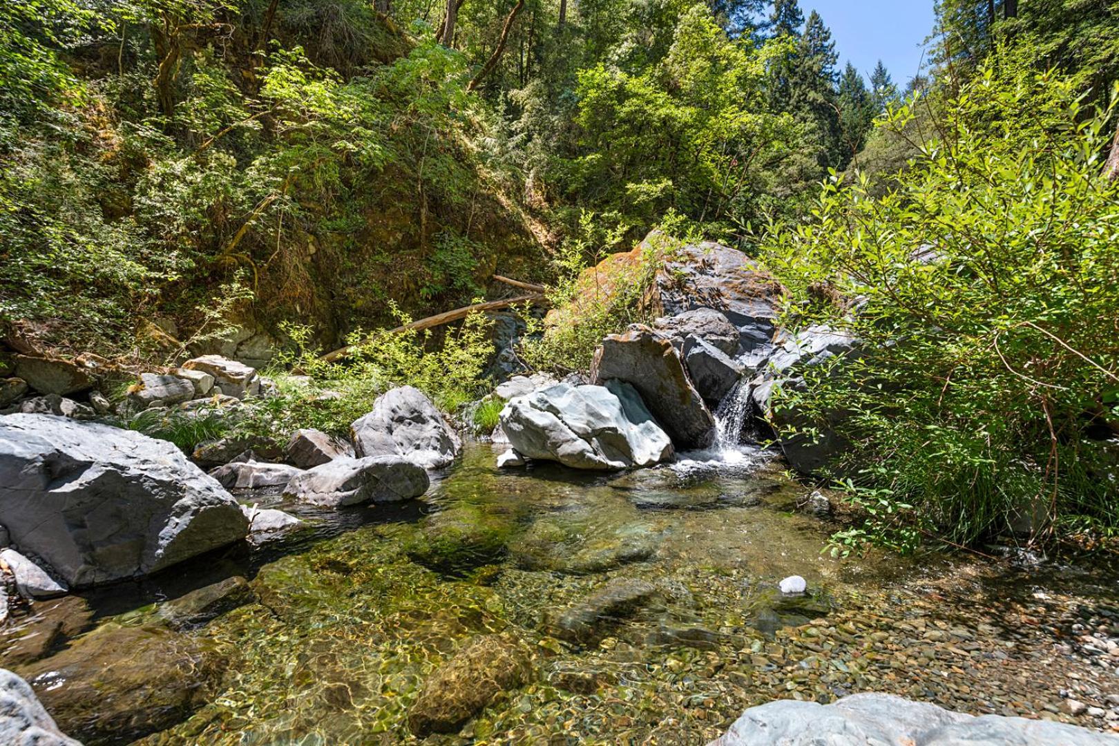 Buck Hollow Villa Cazadero Exterior photo